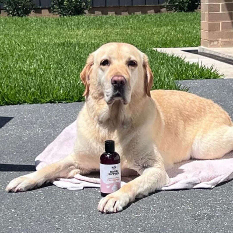 2 in 1 Shampoo