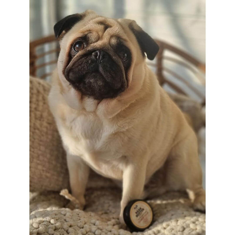 Bark Butter Balm