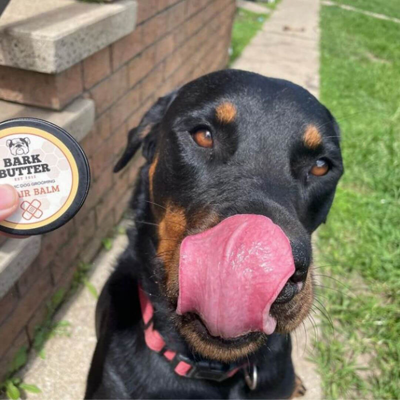 Bark Butter Balm