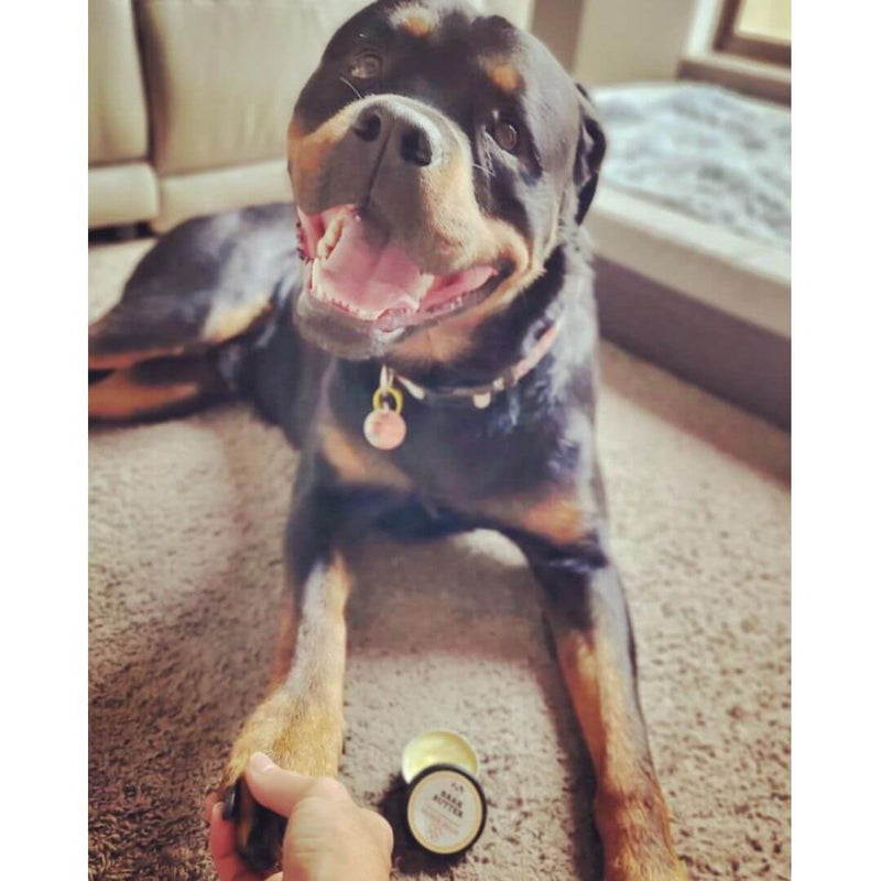 Bark Butter Balm