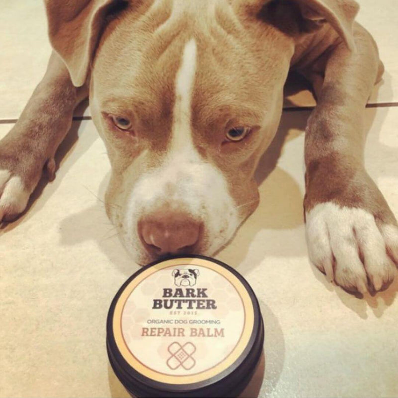 Bark Butter Balm