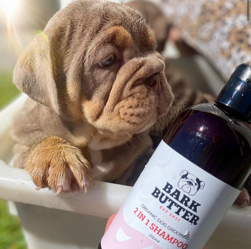 2 in 1 Shampoo