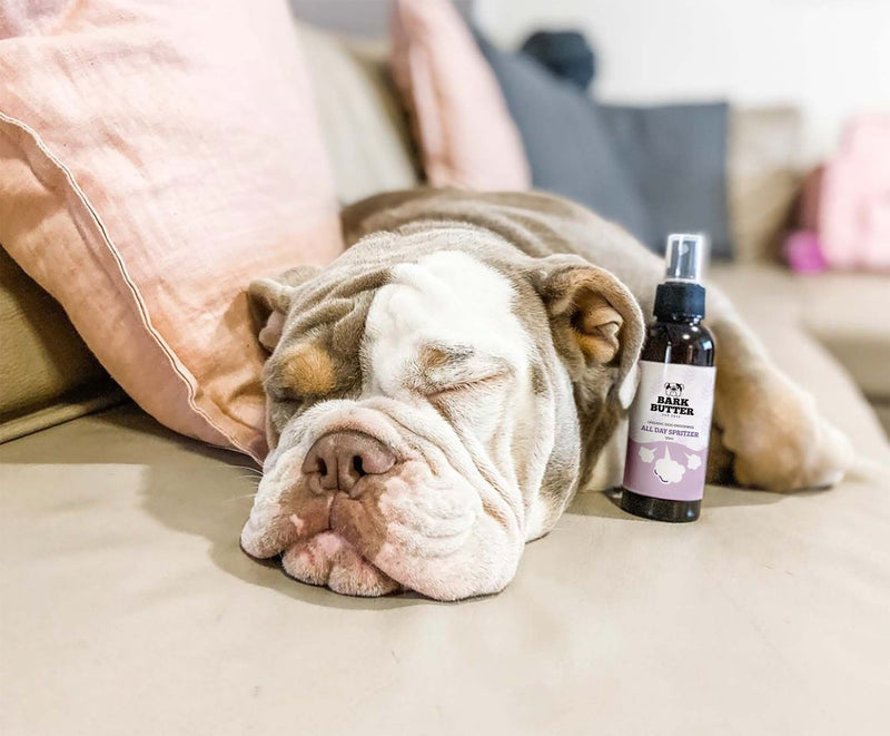 Doggie Snuggle Pack