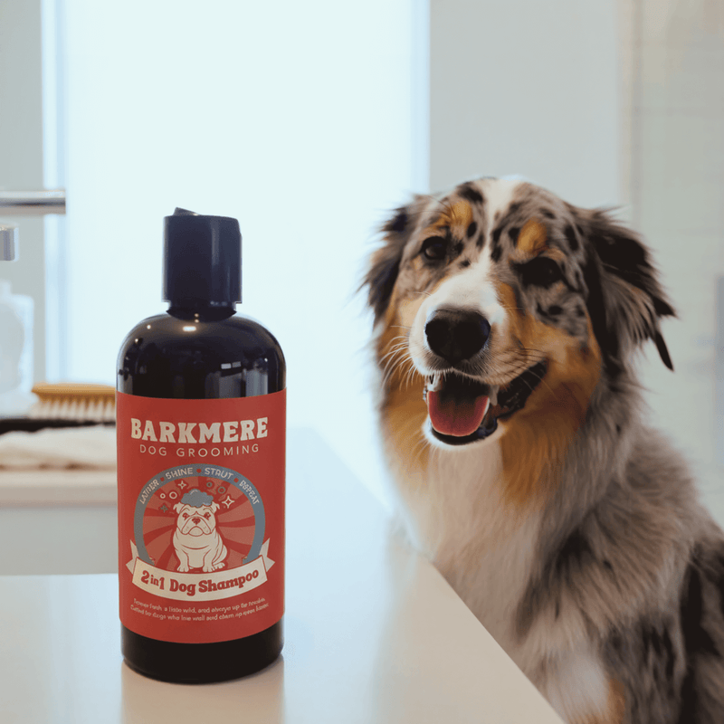 Soap + Shampoo Bundle