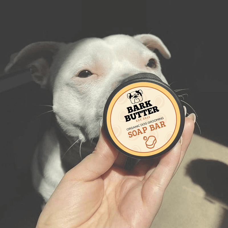 Organic sales dog soap