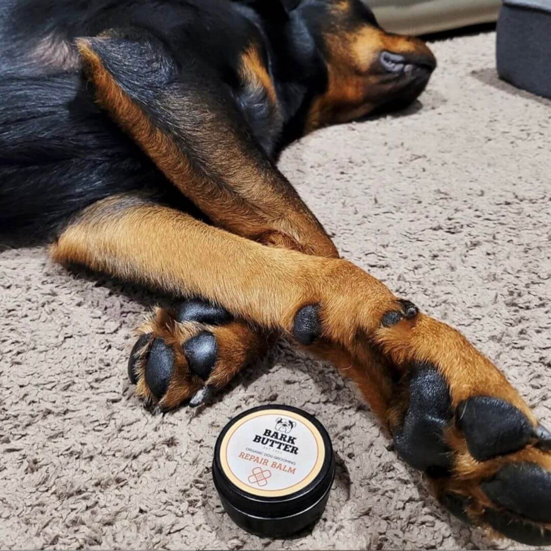 Bark Butter Balm Natural Dog Balm for Paws, Noses More