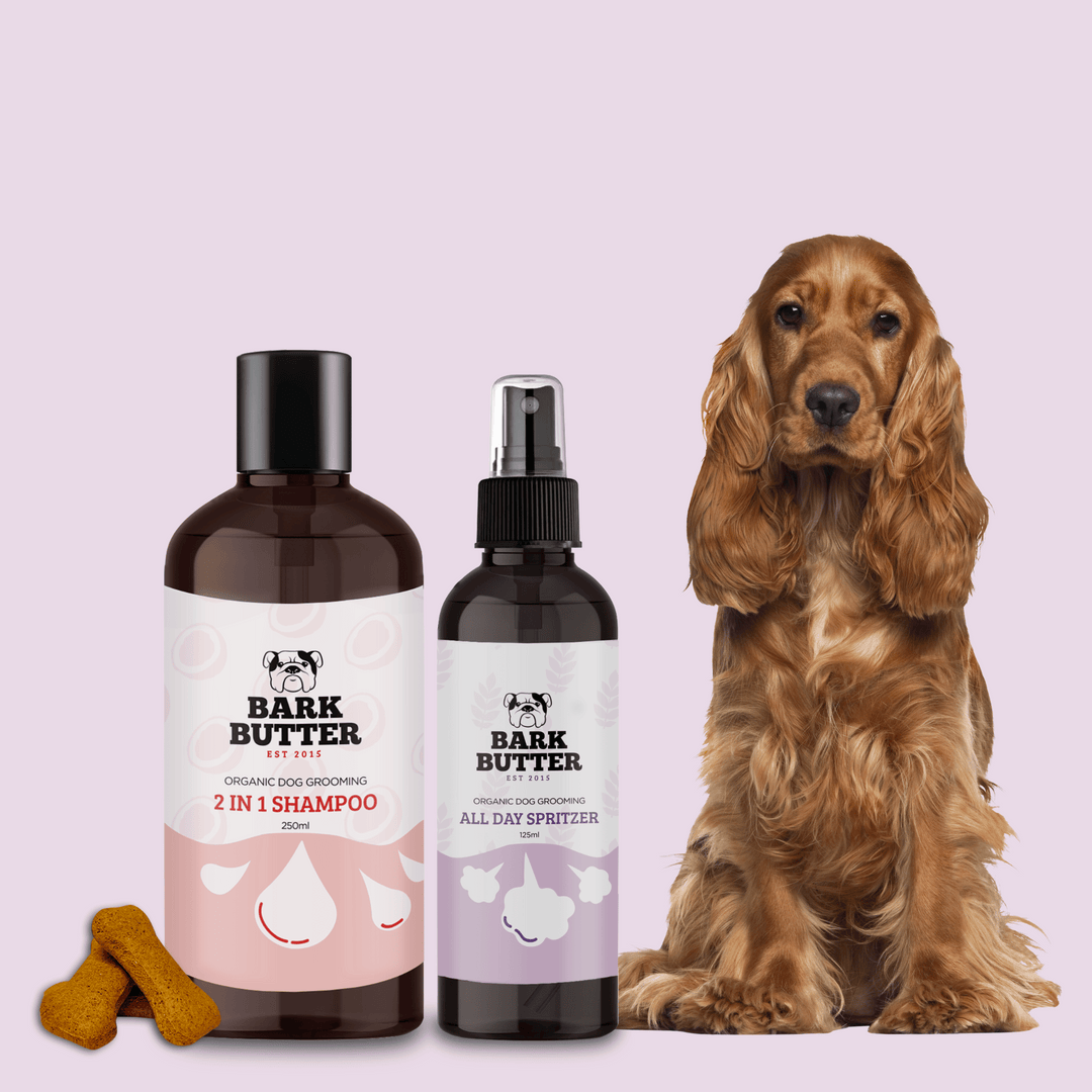 Splashing Hound Pack Dog Shampoo, Spritzer Treats – Bark Butter
