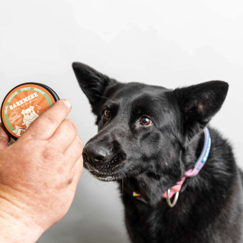 Bark Butter Balm