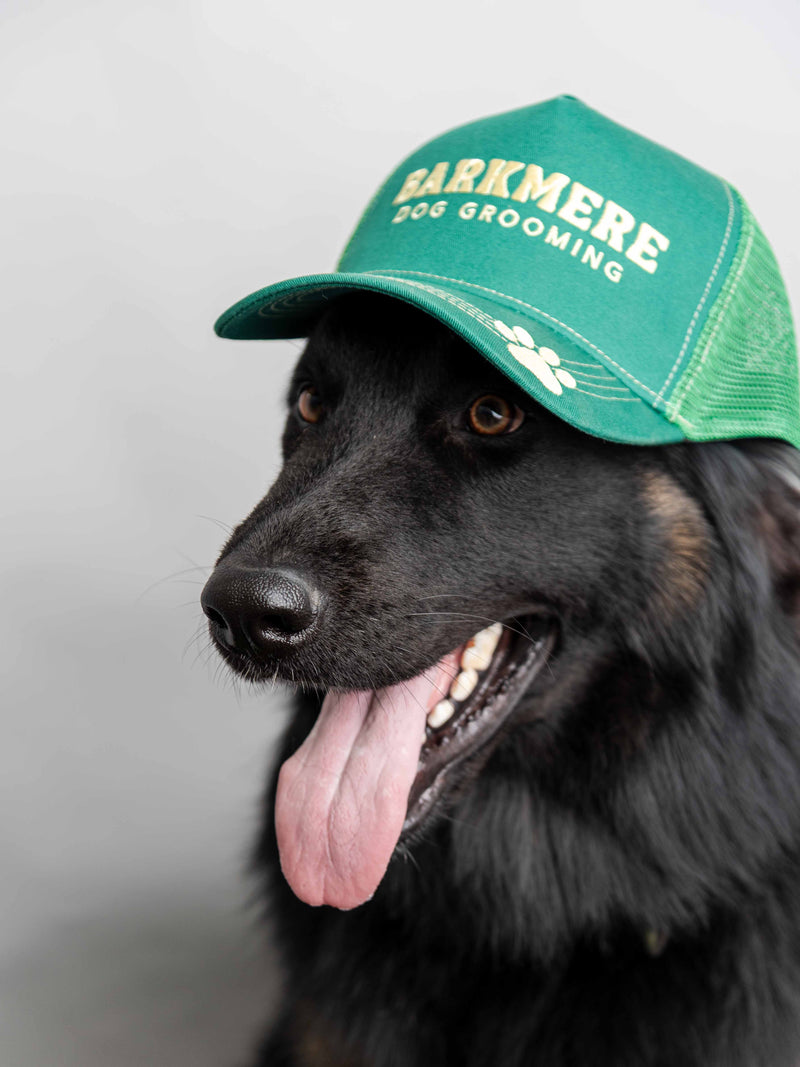 Trucker Hat