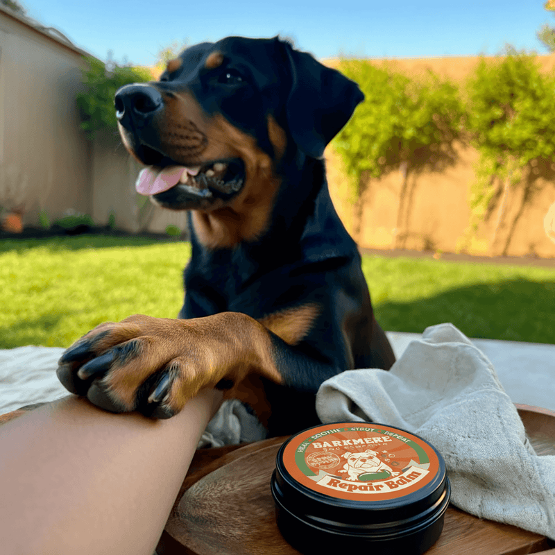 Bark Butter Balm