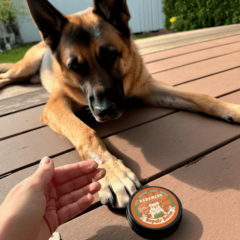 Bark Butter Balm