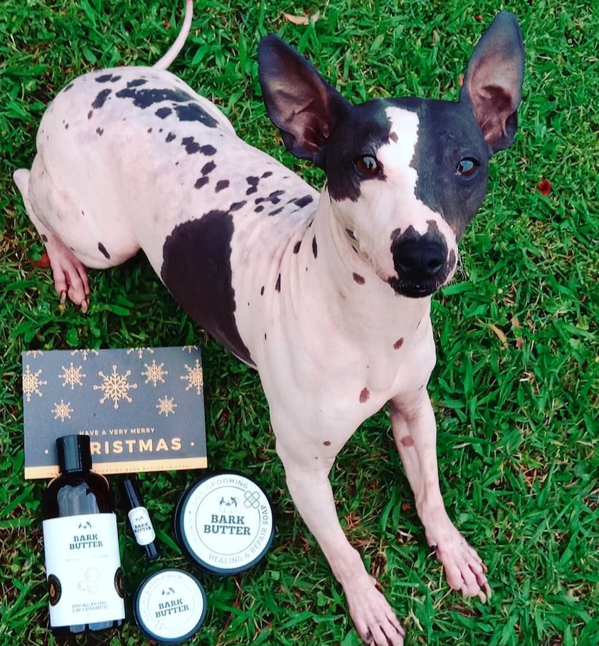 Hypoallergenic Dog Shampoo Scent Free Gentle – Bark Butter