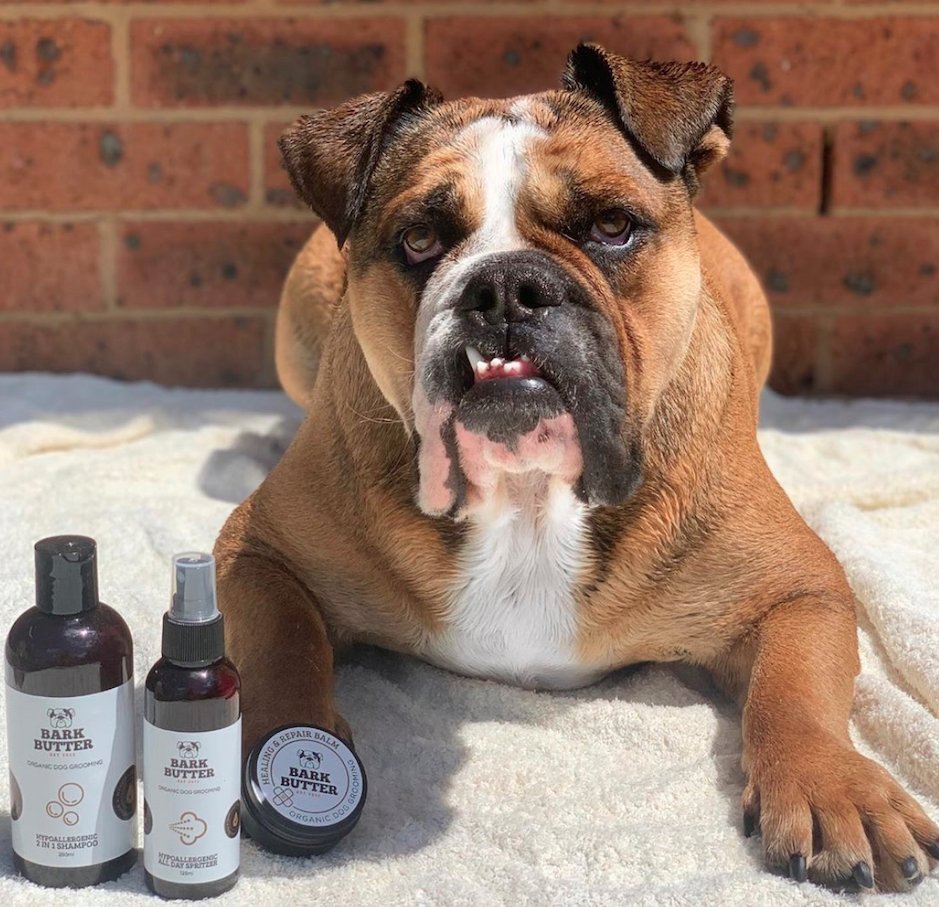 Hypoallergenic Dog Shampoo Scent Free Gentle – Bark Butter